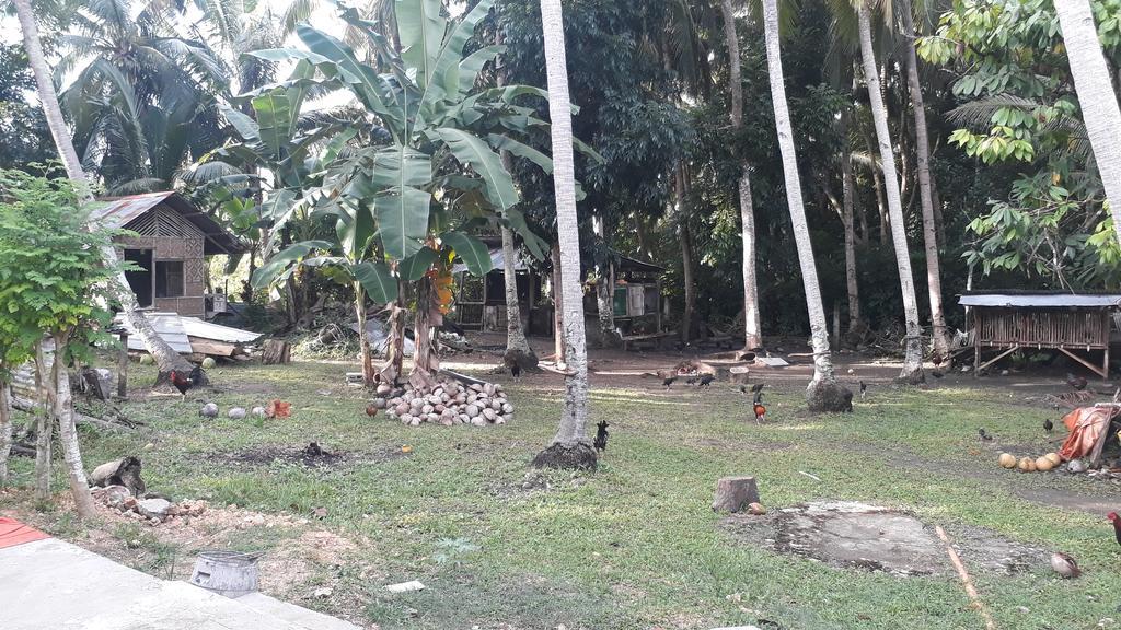 James Homestay Siquijor Dış mekan fotoğraf